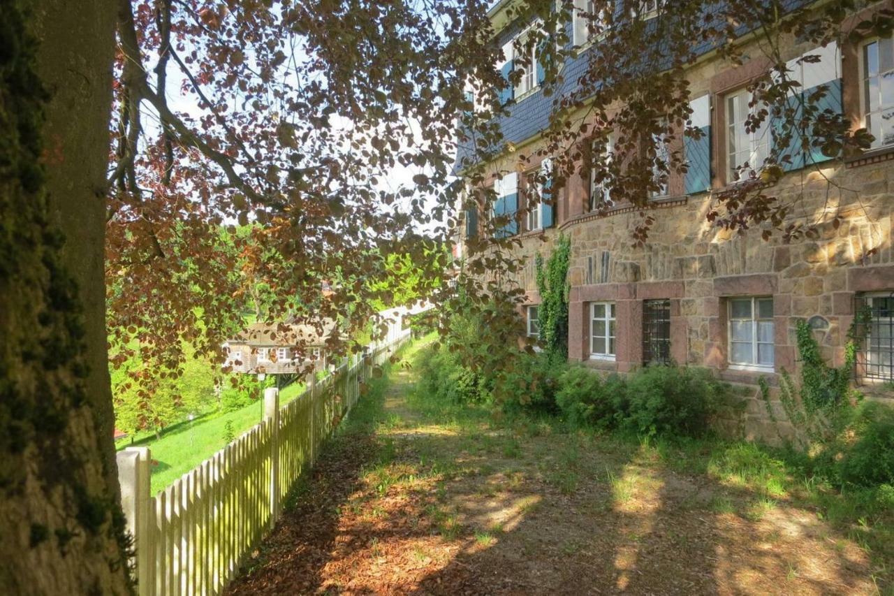 Panoramablick Appartement - traumhaft! Ober-Hambach Exterior foto